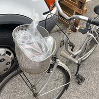 Bicicletta donna