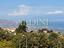 Immagine 8