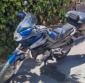 Suzuki XF Freewind 650 - 2000 [tipo Transalp o XT]