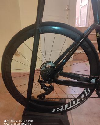 Bianchi Aria 