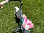 Immagine 2