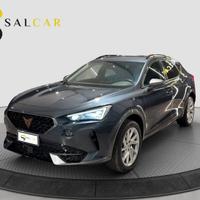 Cupra Formentor 2.0 TDI 150 CV 4Drive DSG 2023 TAS