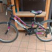 bici ragazzo/a 24"