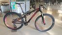 specialized-epic-sworks-large