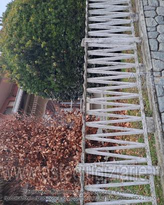 Villa o villino San Francesco al Campo [A4355794]
