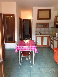 Appartamento trilocale Maratea centro - 2
