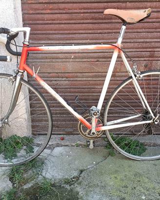 bici da corsa carpene 