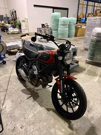 Ducati scrambler 800 icon 2016