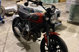 Ducati scrambler 800 icon 2016