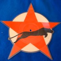 Vinile sagomato 1984 "Animal nightlife"