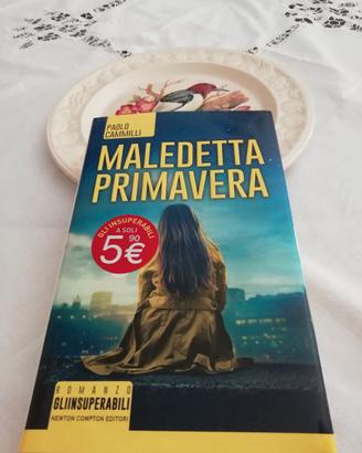 Maledetta primavera di Paolo Cammilli