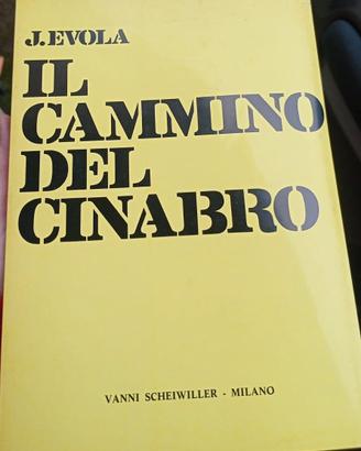 "Il cammino del cinabro"