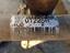 Immagine 28