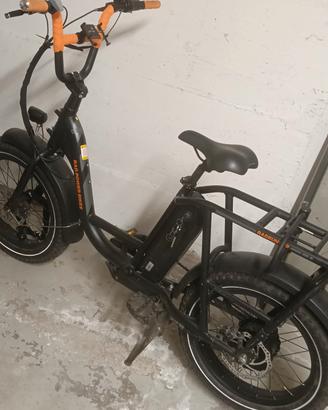 Bici Elettrica con batteria estraibile