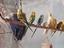 Immagine 1