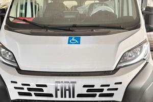 Fiat Ducato - Trasporto Persone - Nuovo