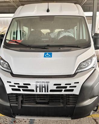 Fiat Ducato - Trasporto Persone - Nuovo