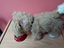 Immagine 5