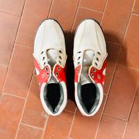 Scarpe da Golf Footjoy Donna