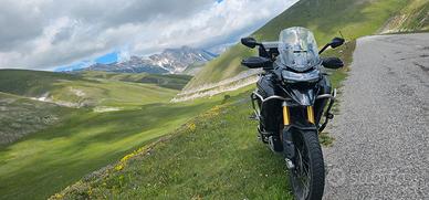 triumph rally Explorer 1200