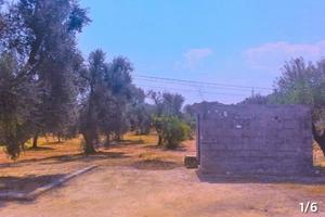 Terreno in contrada Pozzo Pallone inferiore