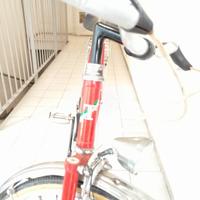 bici uomo Marca terruzzi nuovissima 