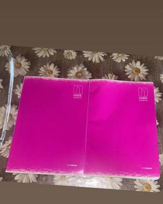 2 Quaderni sia a righe che quadretti a soli 1