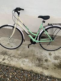 bicicletta