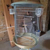 Voliera da camera esagonale con ruote 