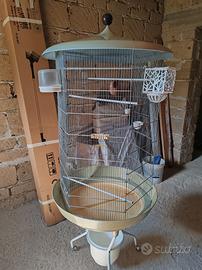 Voliera da camera esagonale con ruote 