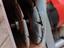 Immagine 5