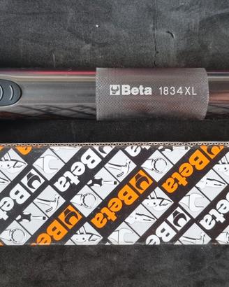 torcia beta