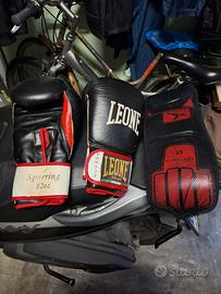 Guantoni da boxe