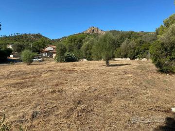 POGGIO DEI PINI, PAULIARA, SPLENDIDO TERRENO EDIFI