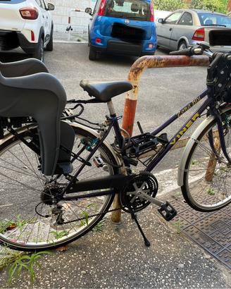 City bike Viner