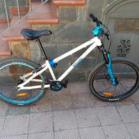 Bicicletta da uomo 24