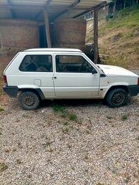 panda young 1100