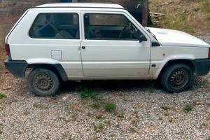 panda young 1100