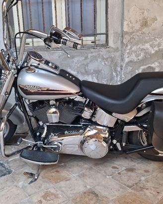 harley Davidson fat boy  1584  2010