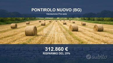 Immobile in asta di 40700 m² a Pontirolo Nuovo