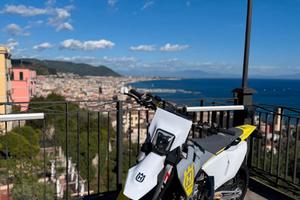 Husqvarna FS 450 2023