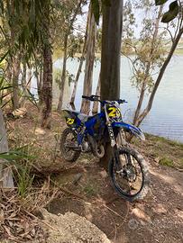 CERC0 telaio, forcellone e piastre YZ 125 2001