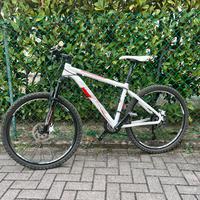 MOUNTAIN BIKE BIESSE