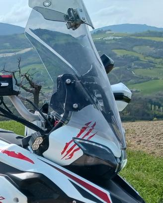 Cupolino fume chiaro puig in per benelli trk251