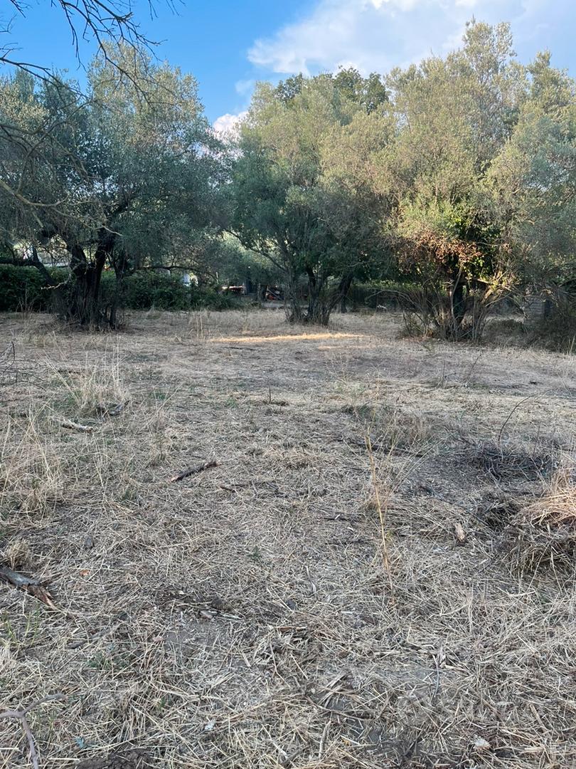 Vendita Terreno - Formello (RM) - Vista 3