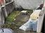 Immagine 14