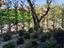 Immagine 11