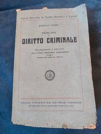 Ferri Enrico. Principii di diritto criminale