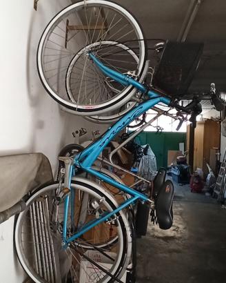 Bici da donna Cinzia