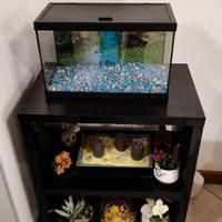 Acquario più mobile